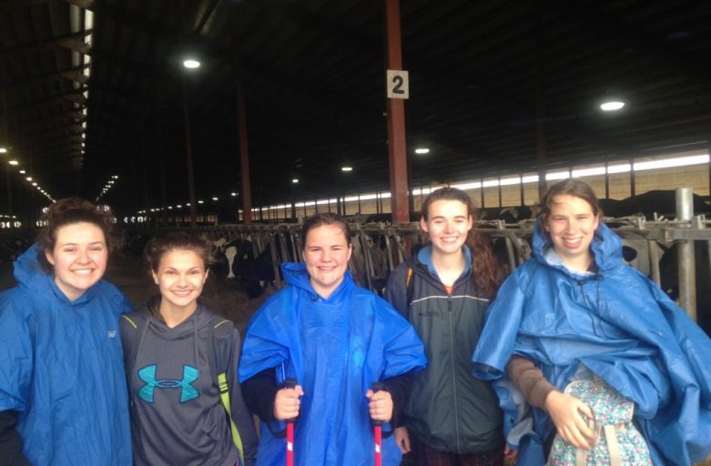 youth pilgrims in ponchos